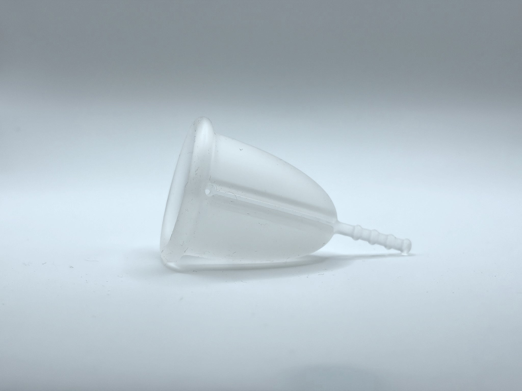 Elys Cup