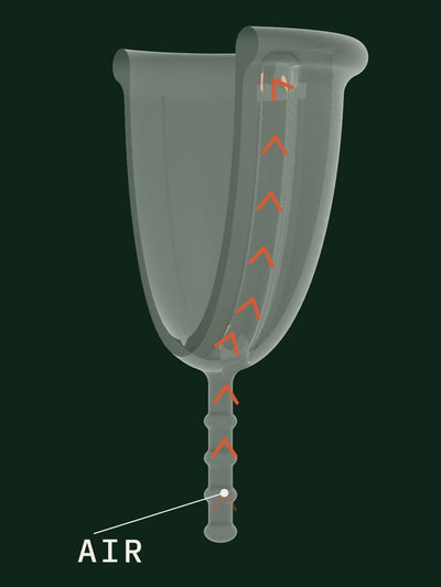 Cutaway of the Elys cup: air flows up the patented channel, so the cup slides out without suction